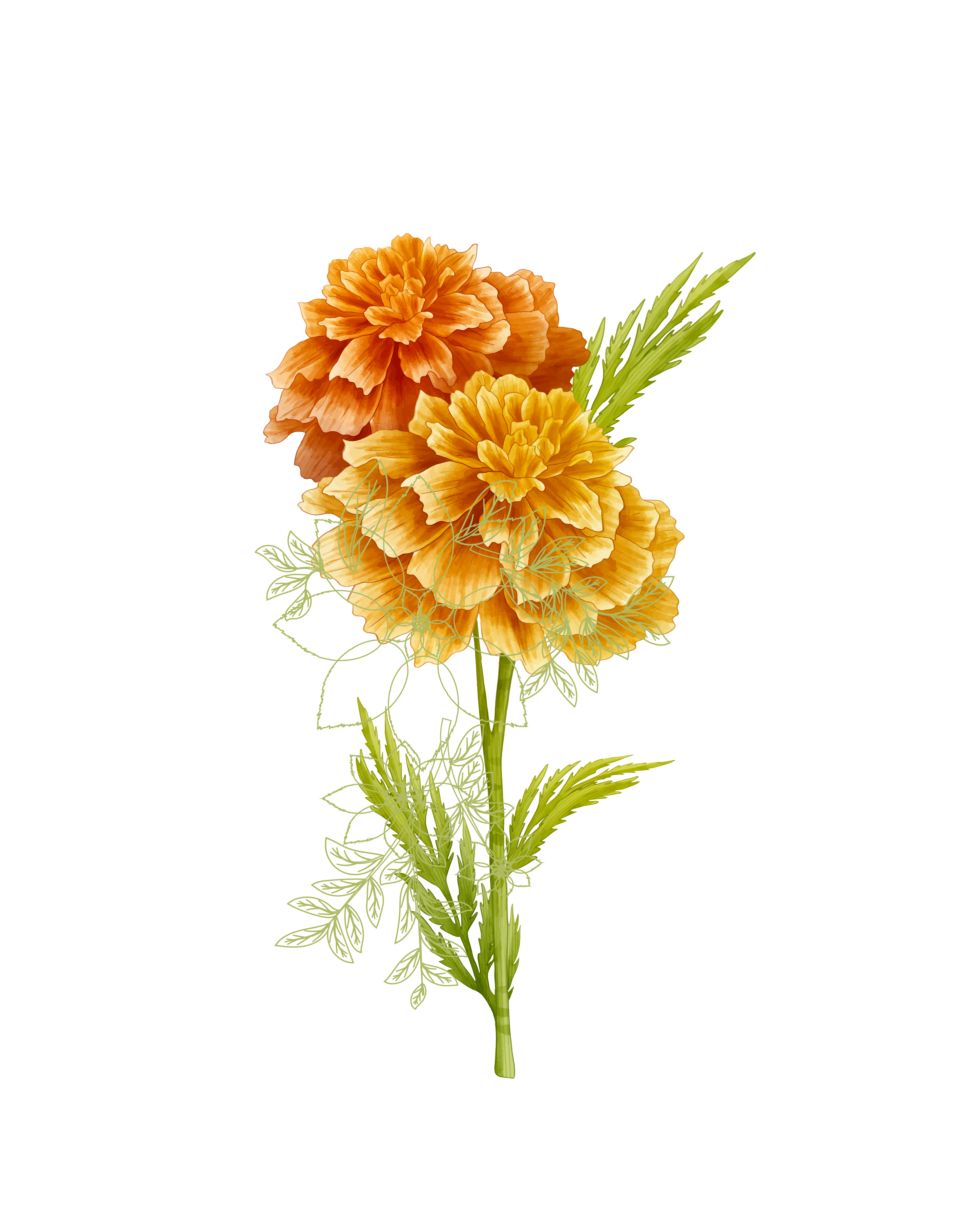 Decoración Floral